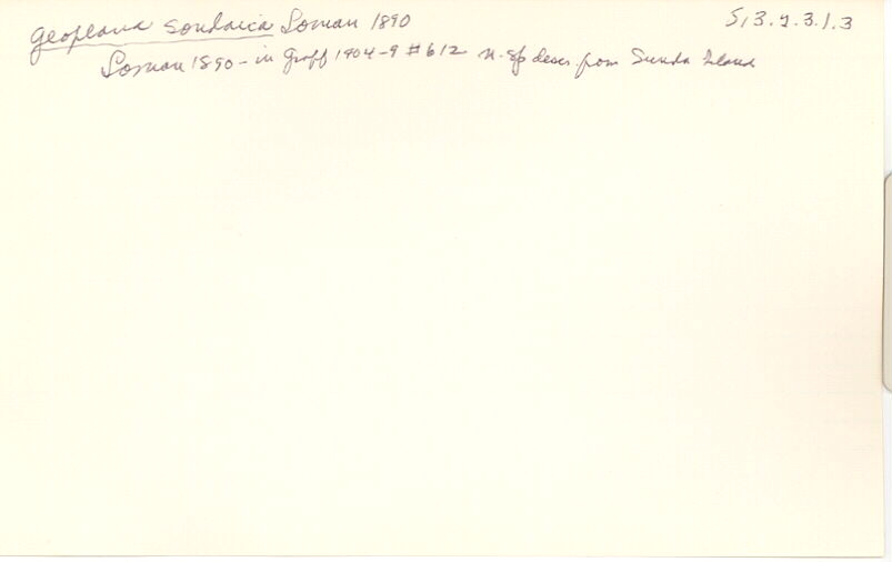 index card