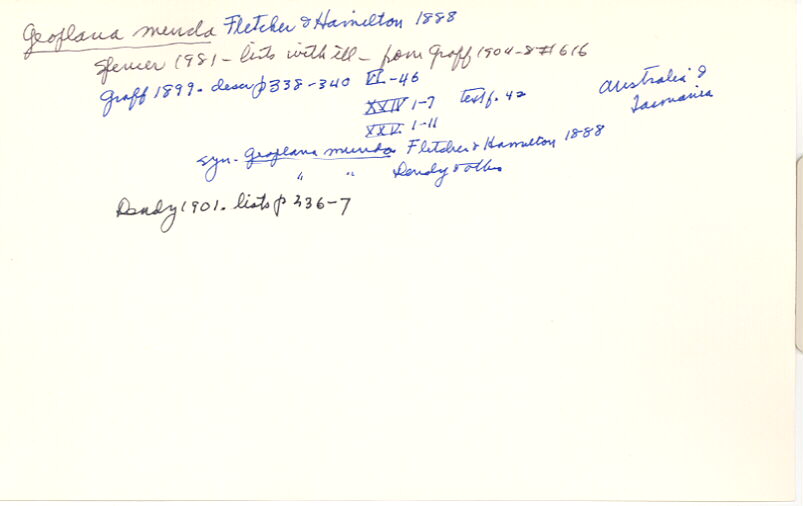 index card