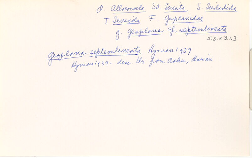index card