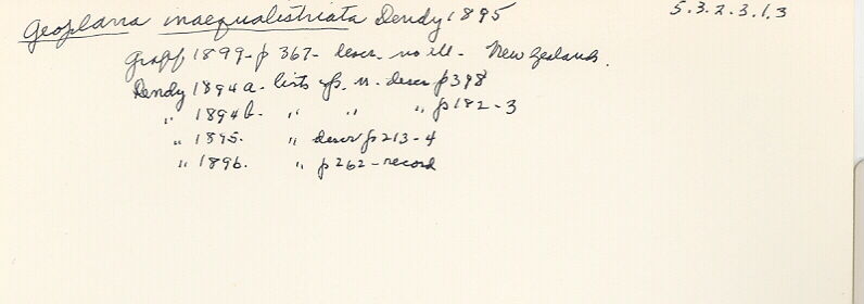 index card