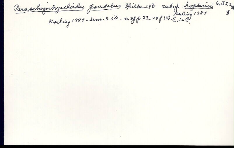 index card