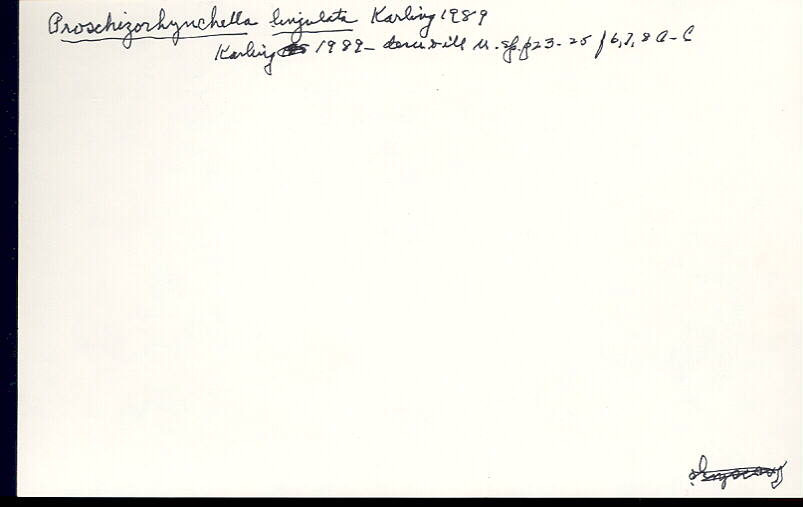index card