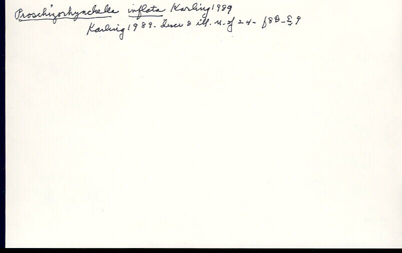 index card