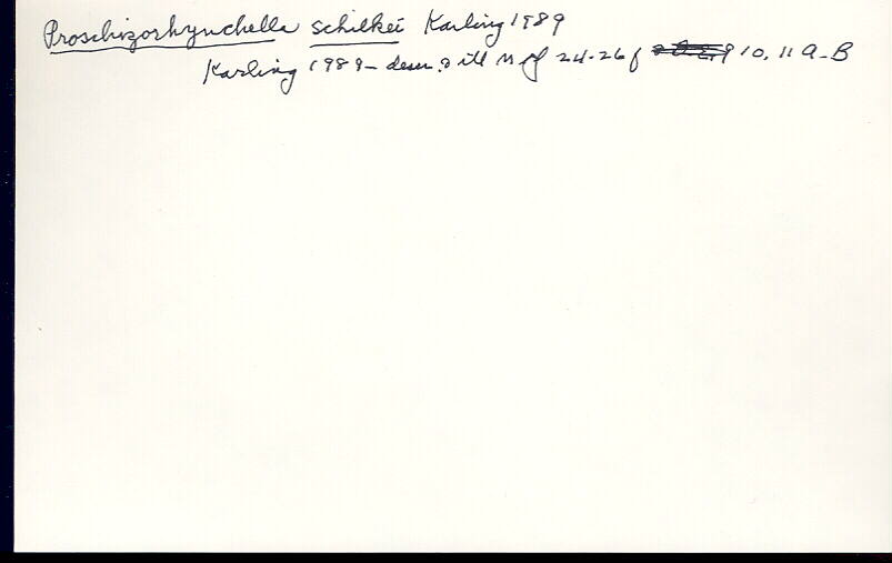 index card