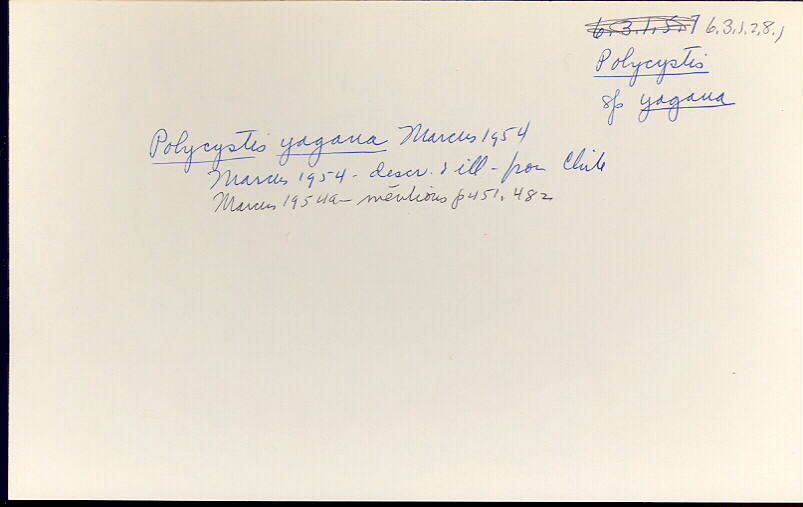 index card