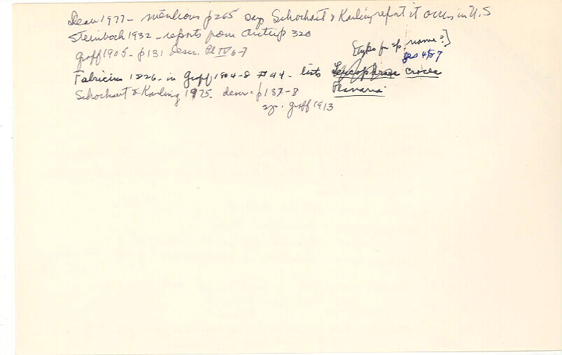 index card