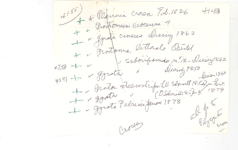 index card