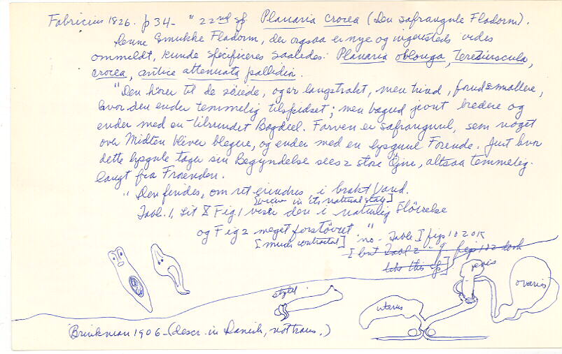 index card