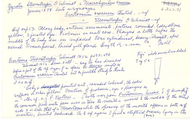 index card