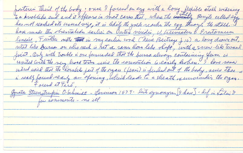 index card