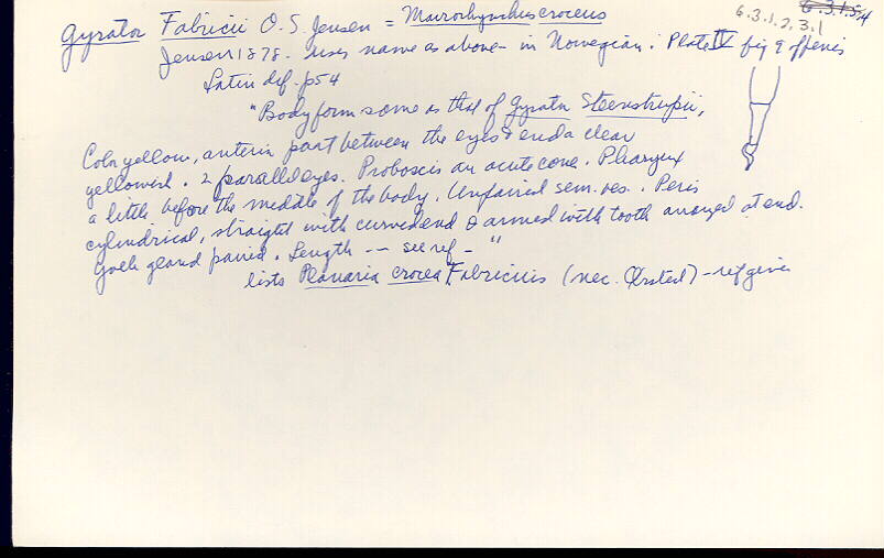 index card