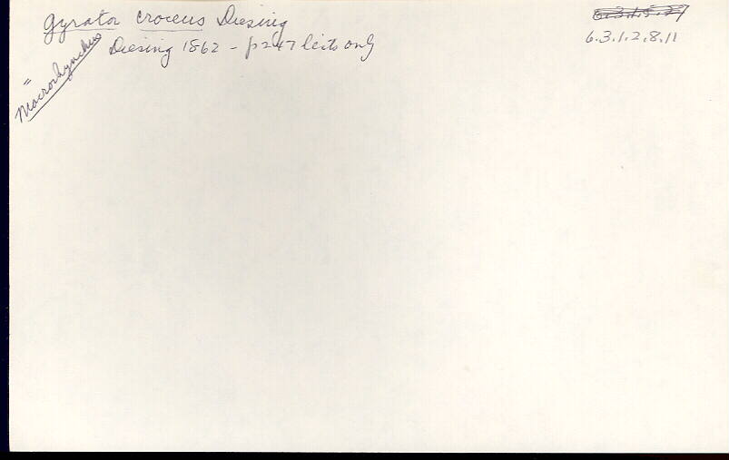 index card