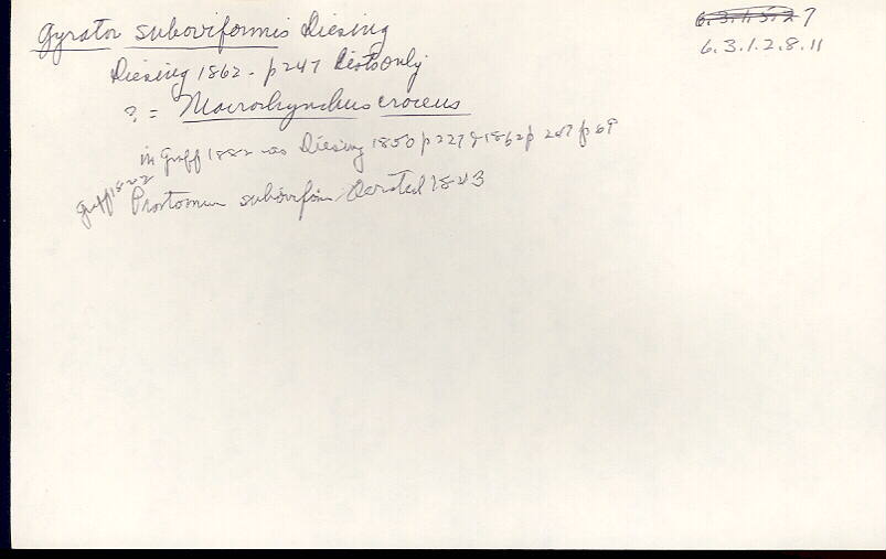 index card