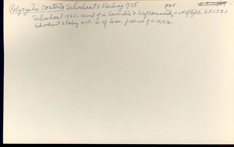 index card