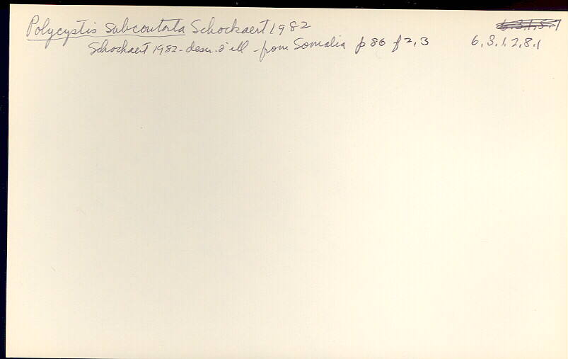 index card