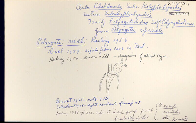 index card