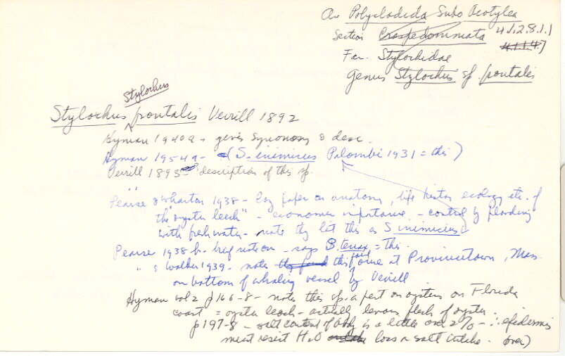 index card