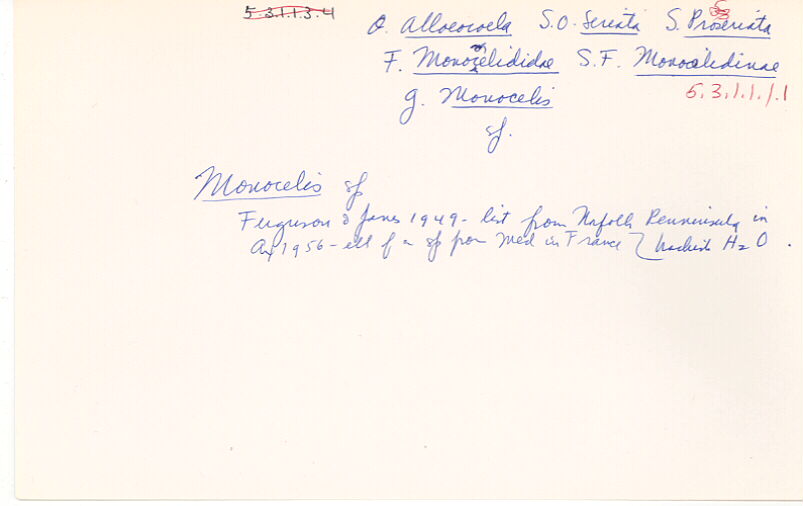 index card