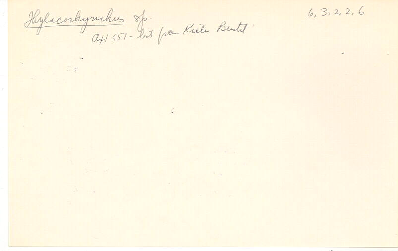 index card