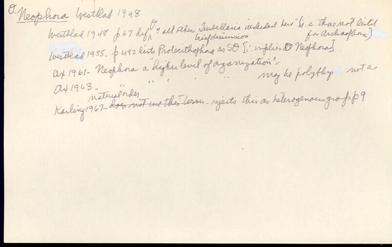 index card