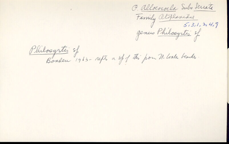 index card