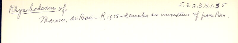 index card