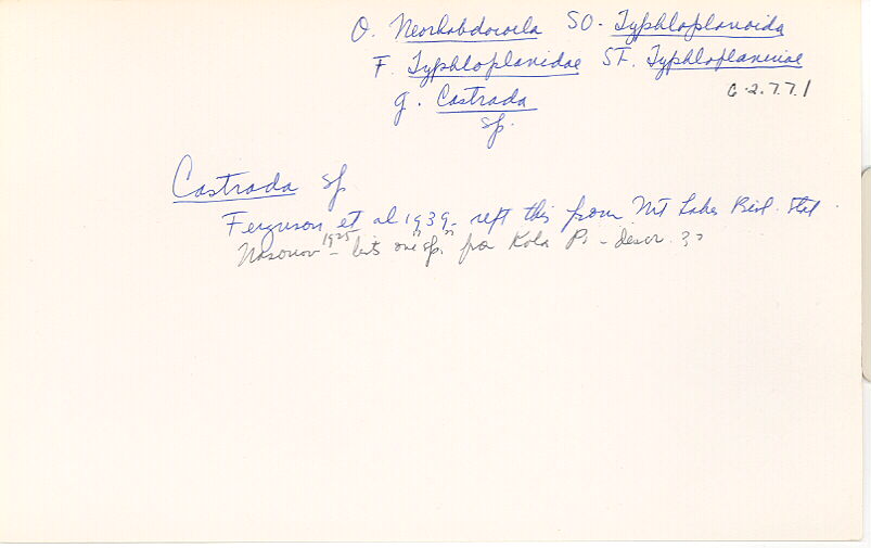 index card