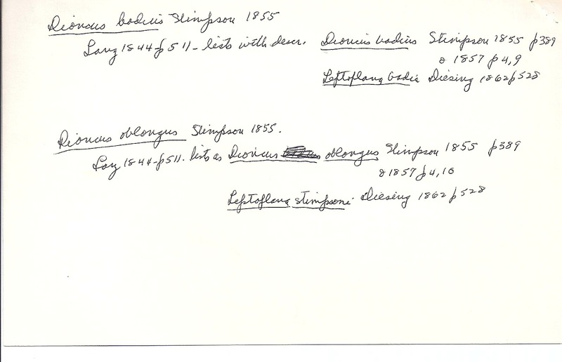 index card