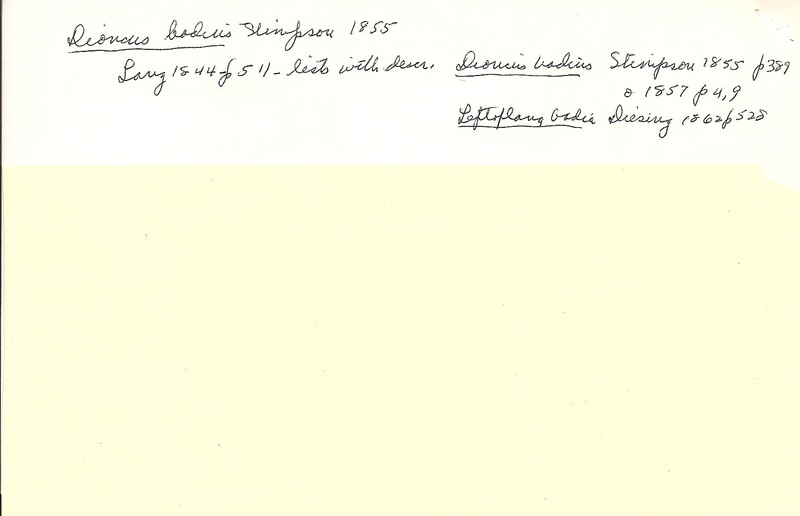 index card