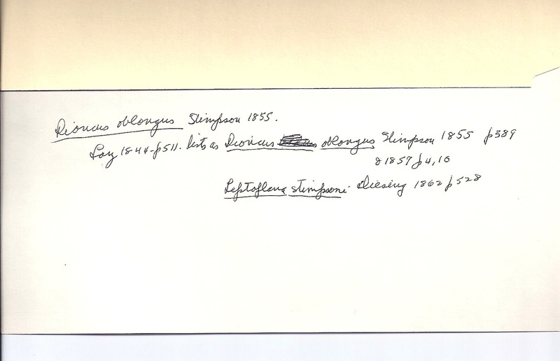 index card