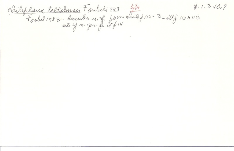 index card