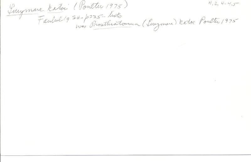 index card