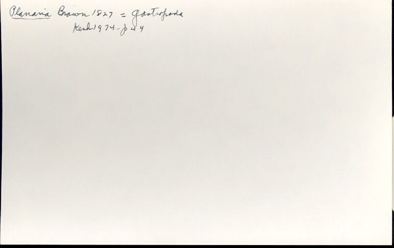 index card