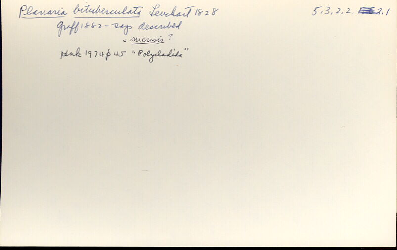 index card