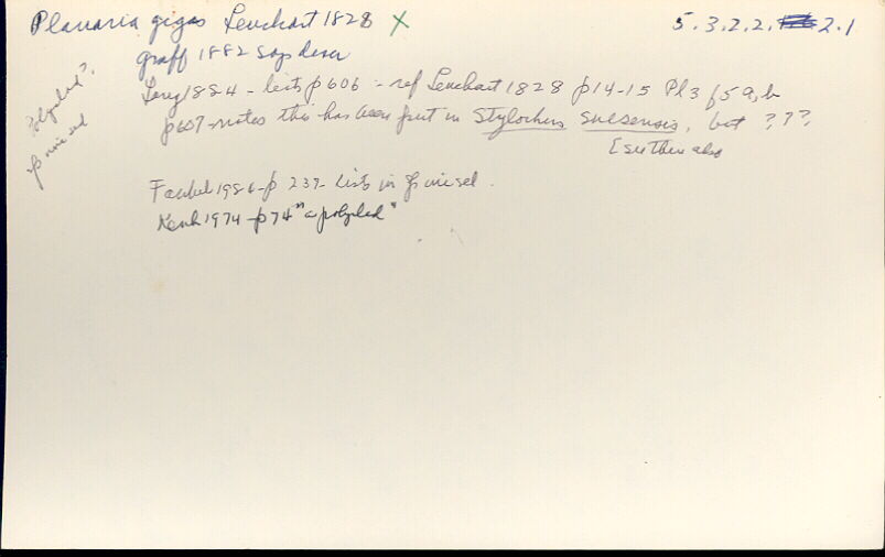 index card
