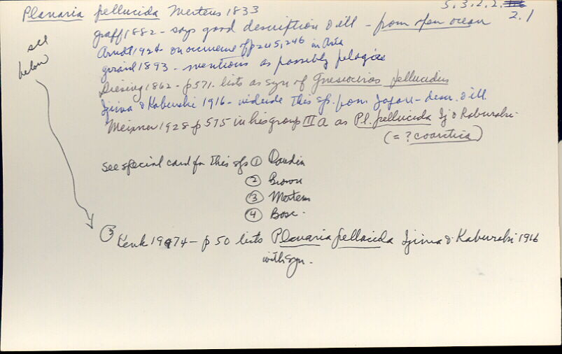 index card