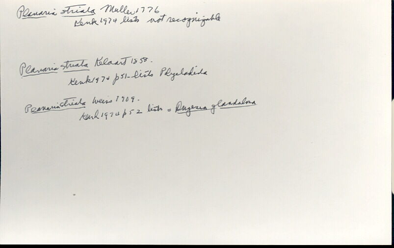 index card
