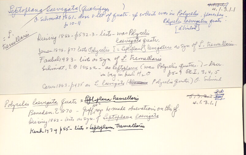 index card
