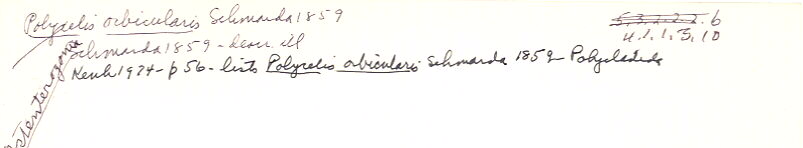 index card