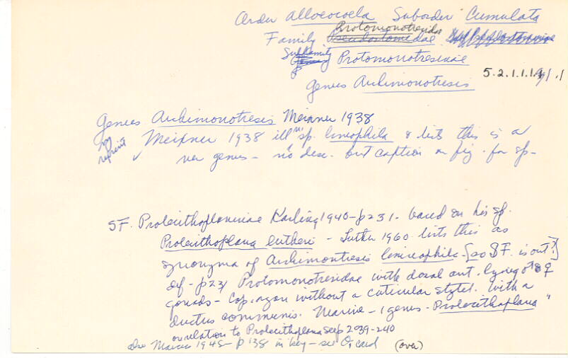 index card