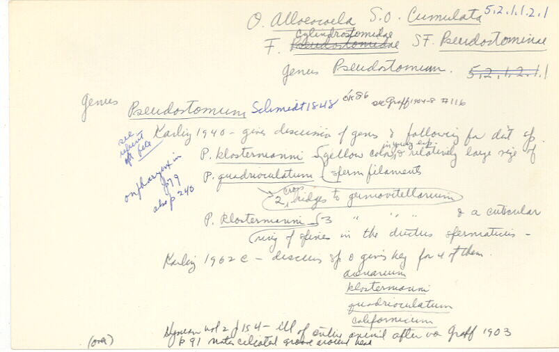 index card