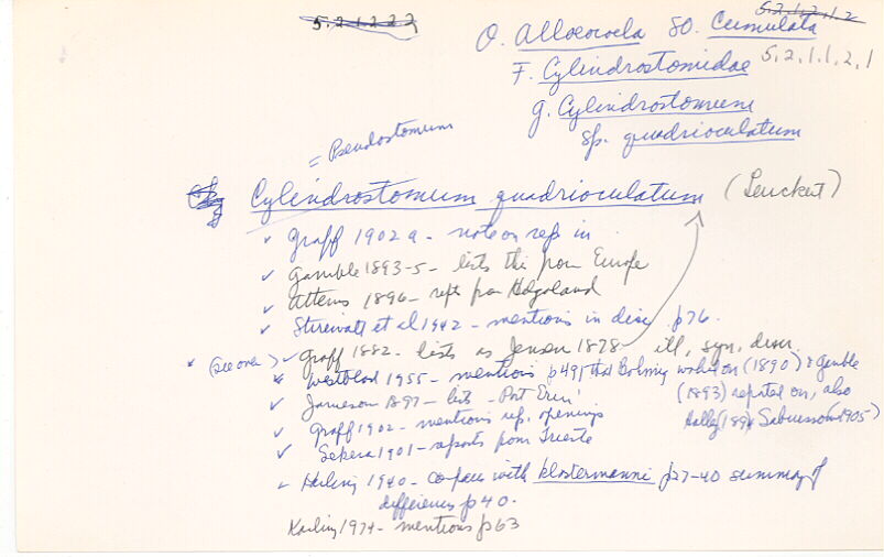 index card