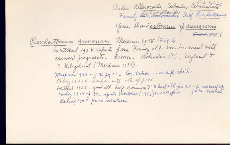 index card