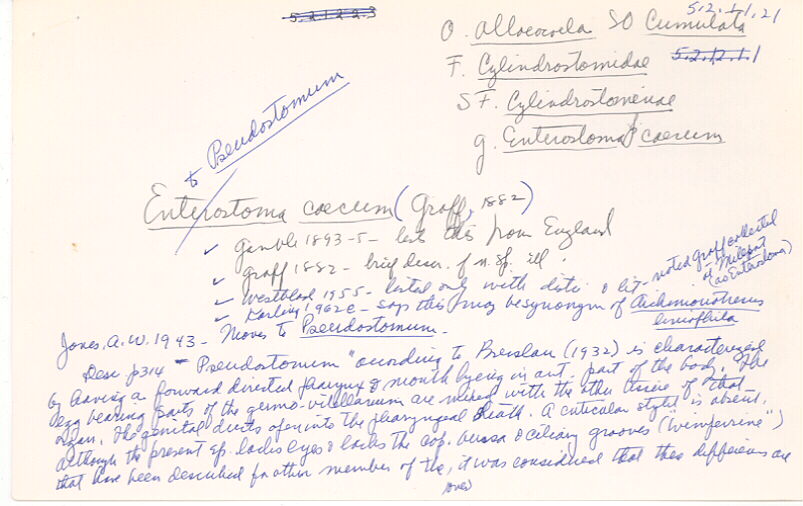 index card