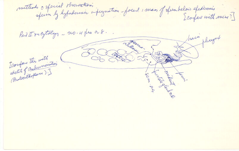 index card