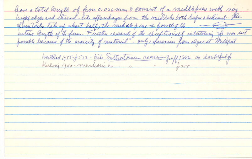index card
