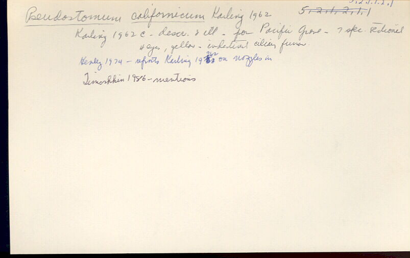 index card