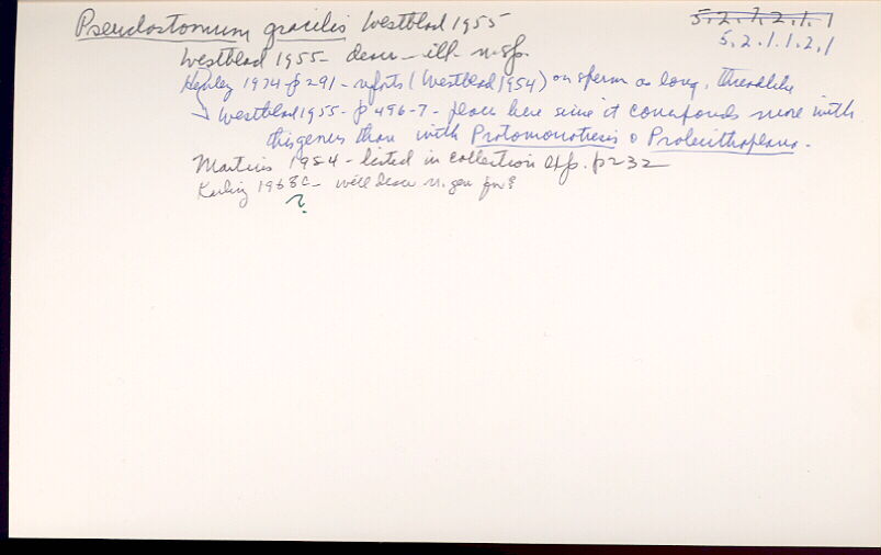 index card