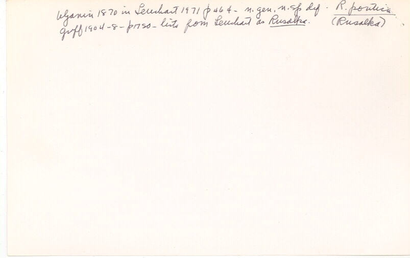 index card