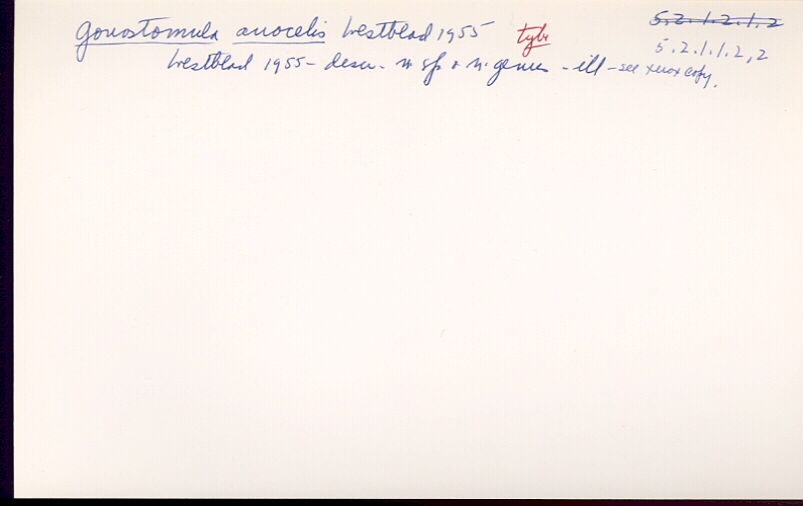 index card